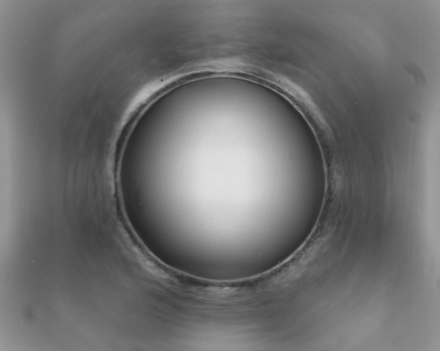 X0000112061176200908111406