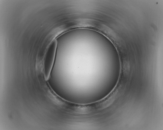 X0000112061177200908111406
