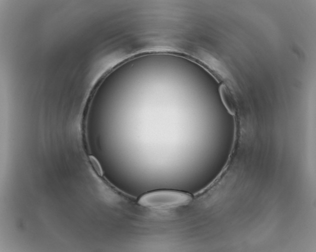 X0000112061181200908111405
