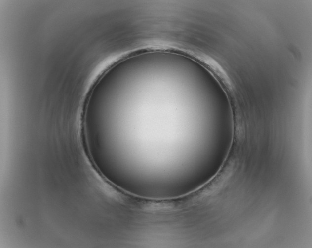 X0000112061183200908111405