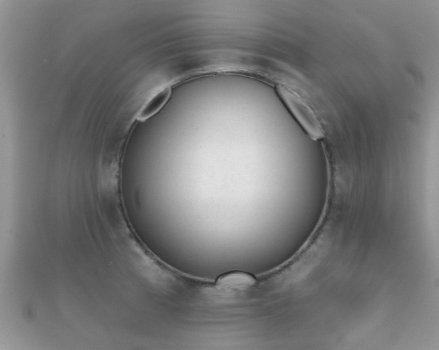 X0000112061185200908111405