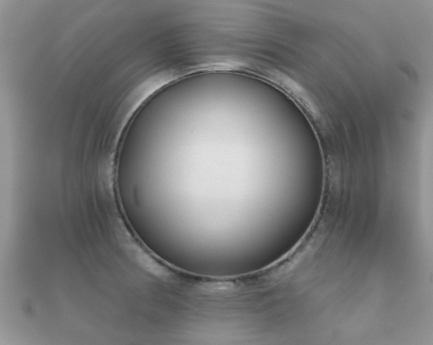 X0000112061186200908111405