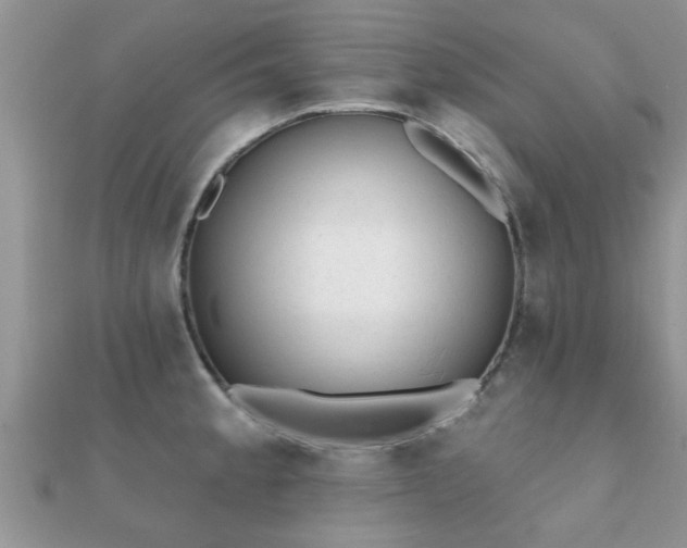 X0000112061189200908111405