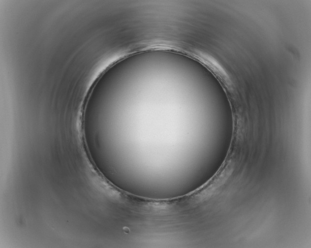 X0000112061190200908111405