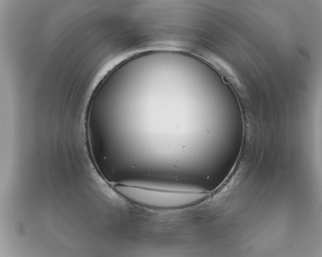 X0000112061192200908111405