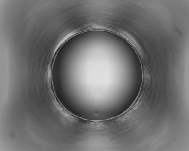 X0000112061198200908111405