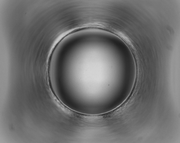 X0000112061200200908111405