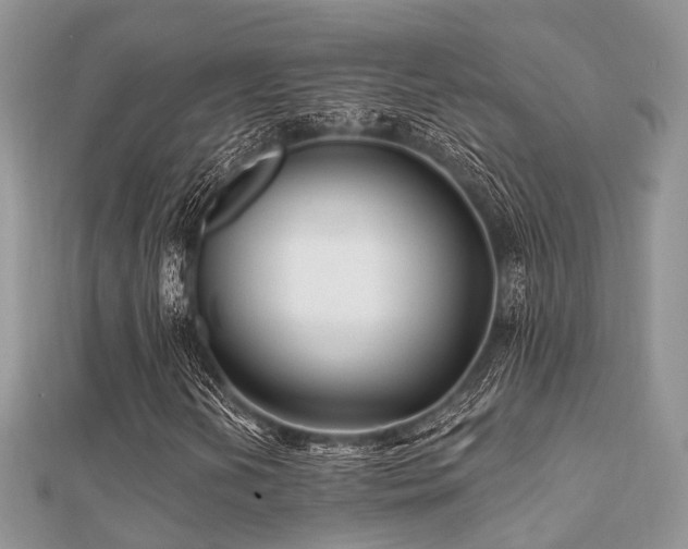 X0000112061202200908111405