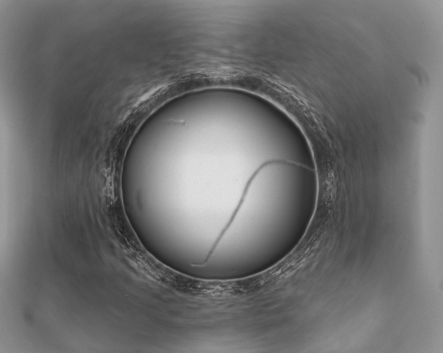X0000112061205200908111405