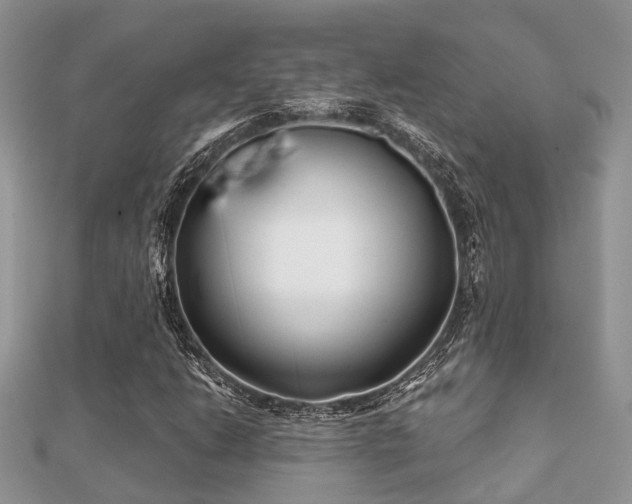 X0000112061206200908111405
