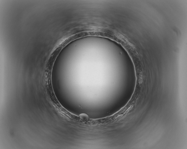 X0000112061208200908111405