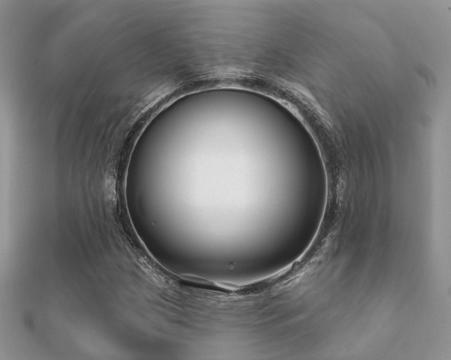 X0000112061209200908111405