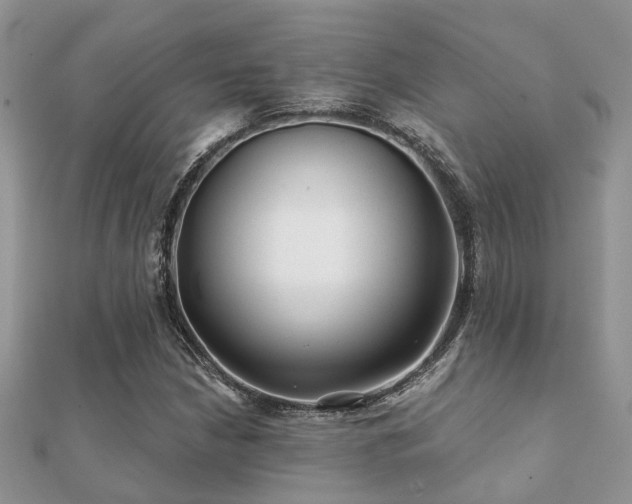 X0000112061210200908111405