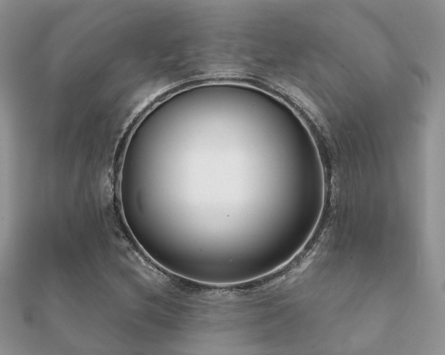 X0000112061212200908111405