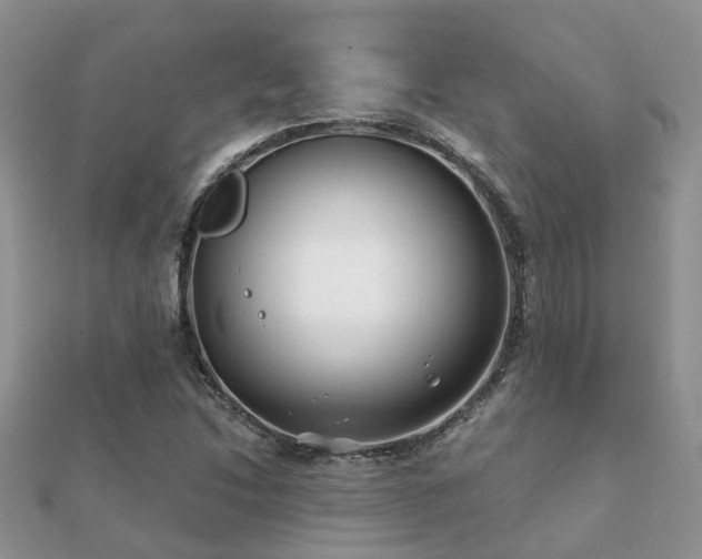 X0000112061214200908111405