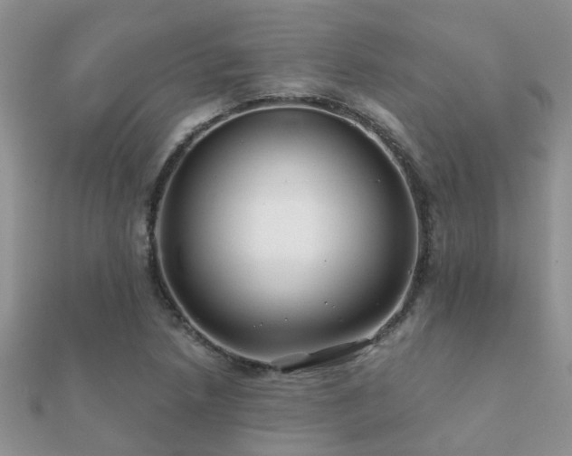 X0000112061218200908111405