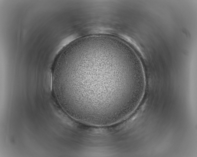 X0000112061219200908111405