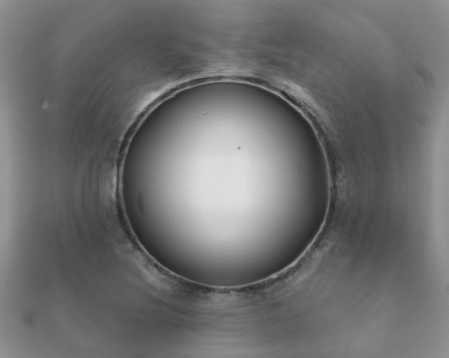 X0000112061220200908111405