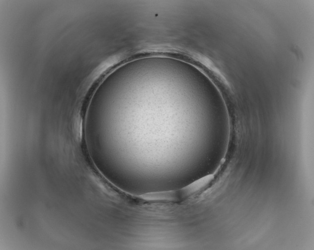 X0000112061221200908111405