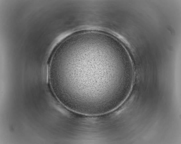 X0000112061223200908111405