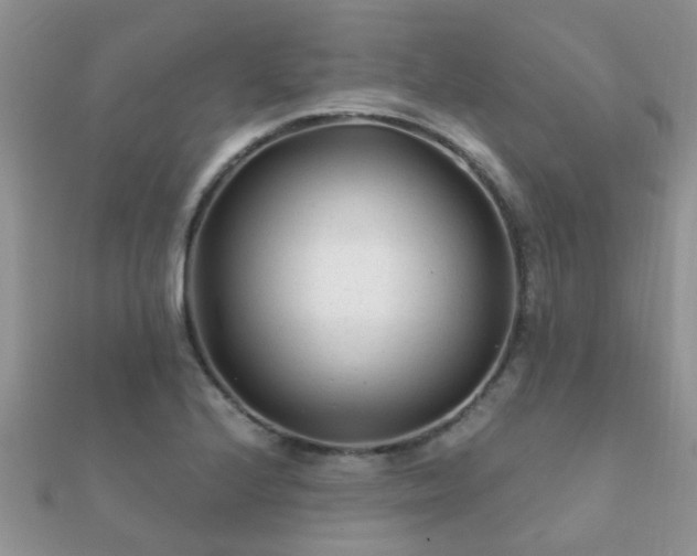 X0000112061224200908111405