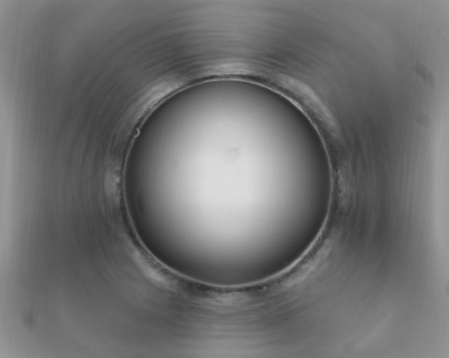 X0000112061225200908111405