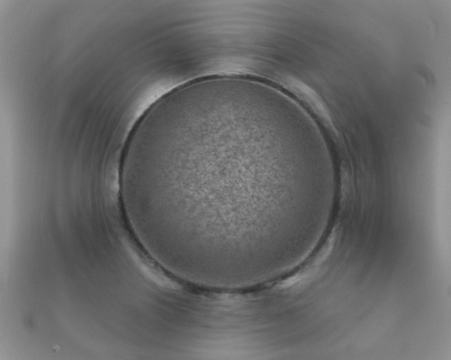 X0000112061226200908111405