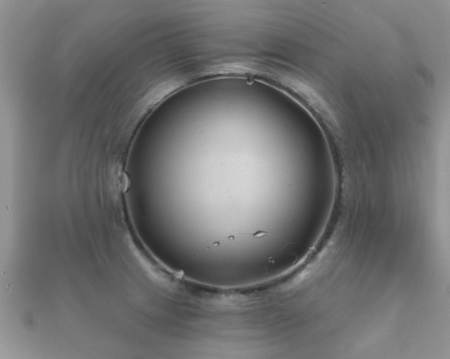 X0000112061233200908111405