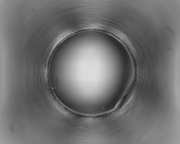 X0000112061234200908111405