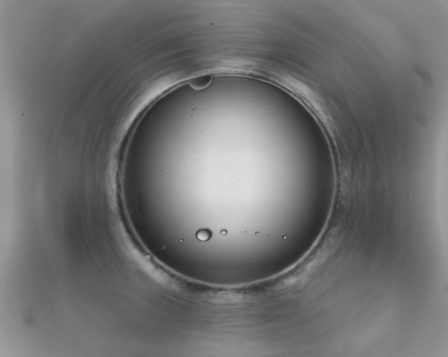 X0000112061235200908111405