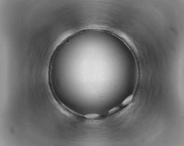 X0000112061237200908111405