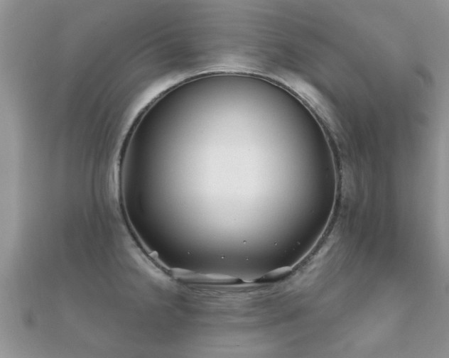 X0000112061238200908111405
