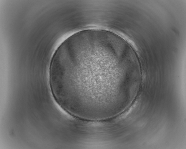 X0000112061239200908111405