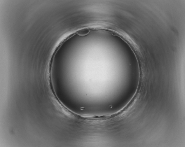 X0000112061240200908111405