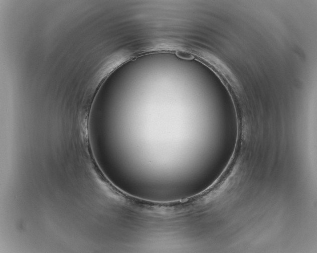 X0000112061241200908111405