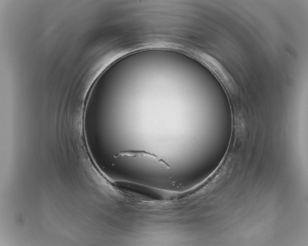 X0000112061244200908111405