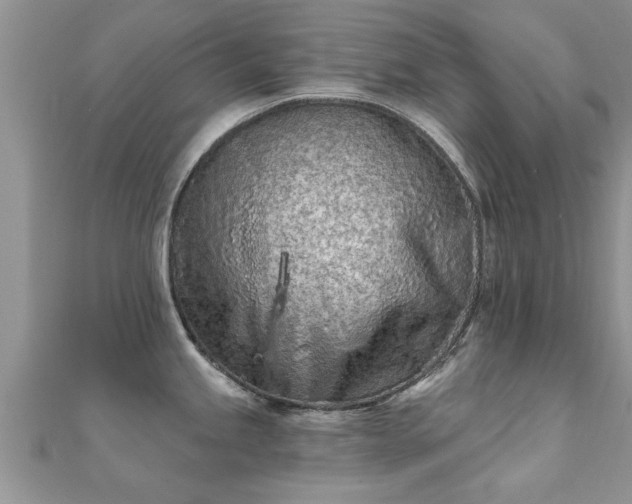 X0000112061245200908111405