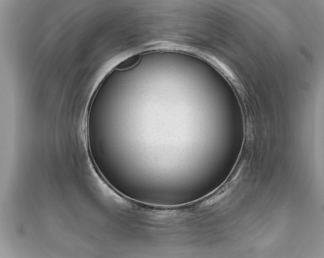 X0000112061247200908111405