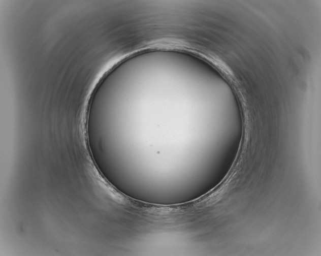 X0000112061248200908111405