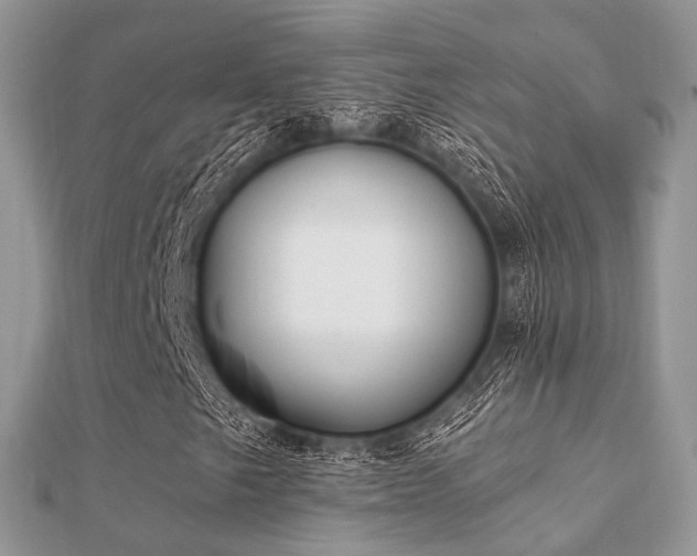 X0000112061249200908111405