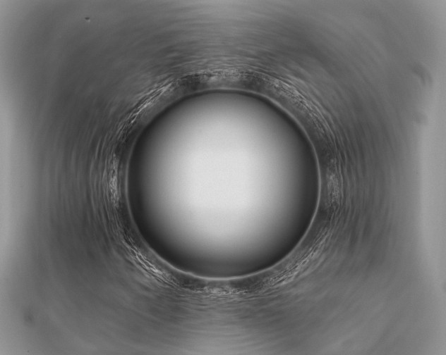 X0000112061250200908111404