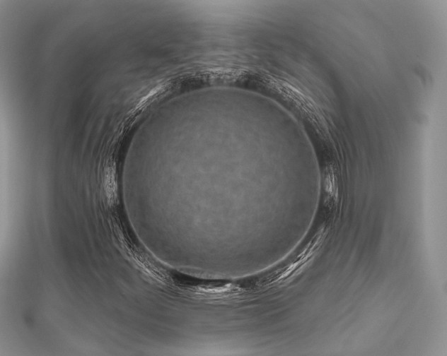 X0000112061252200908111404