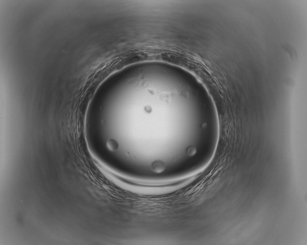 X0000112061253200908111404