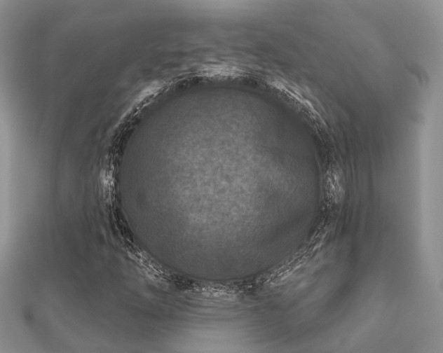 X0000112061254200908111404
