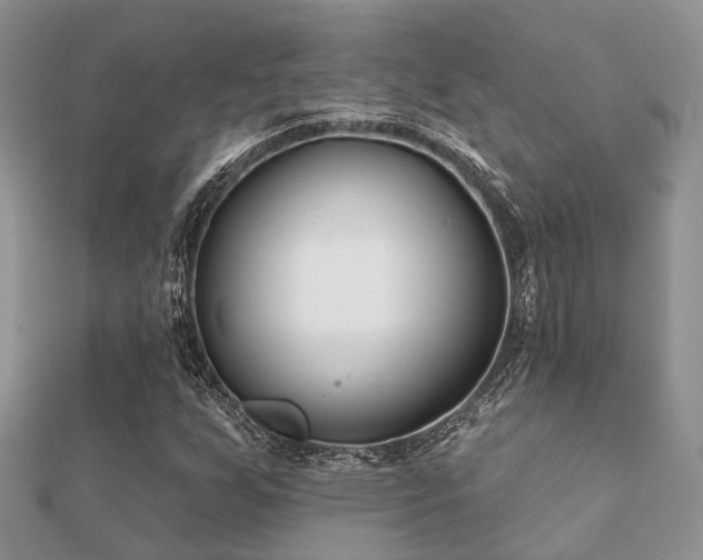 X0000112061255200908111404