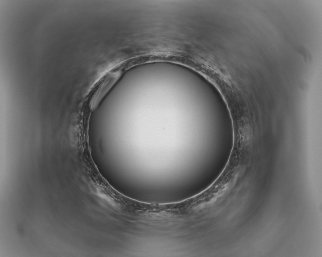 X0000112061256200908111404