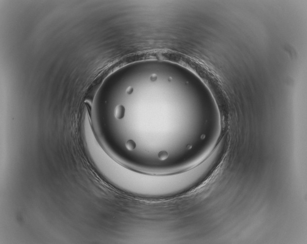 X0000112061257200908111404