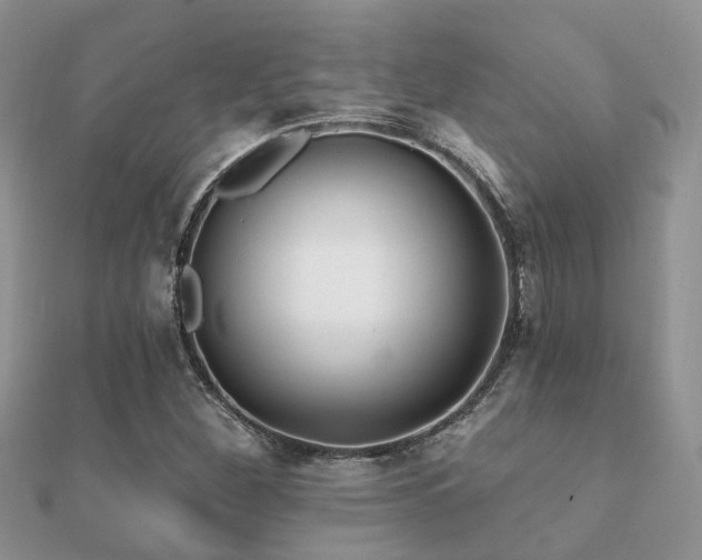 X0000112061260200908111404