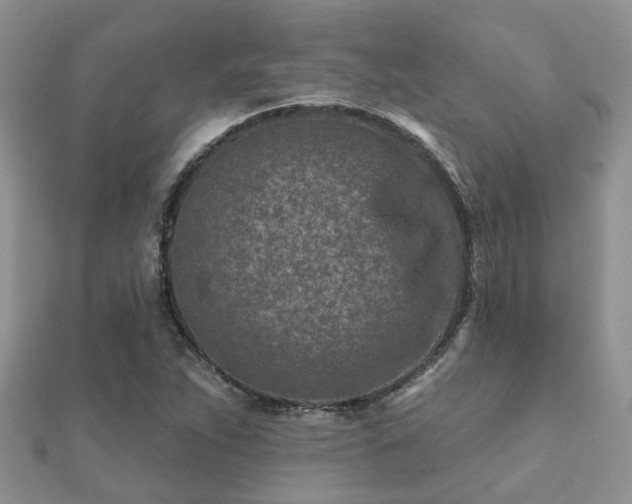 X0000112061263200908111404