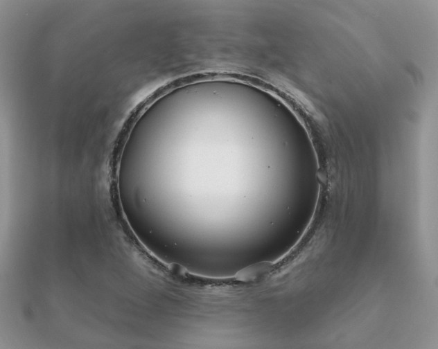 X0000112061264200908111404